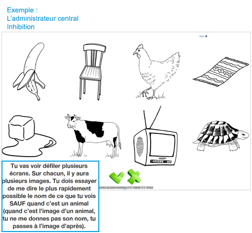 Image sur le produit Mémoire de Travail