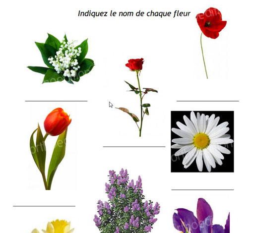 Image sur le produit 10 Ateliers - Mémoire et Cognition (pdf)