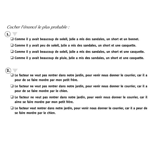 Image sur le produit 300 exercices de compréhension d'inférences logique et pragmatique et de chaînes causales (pdf)