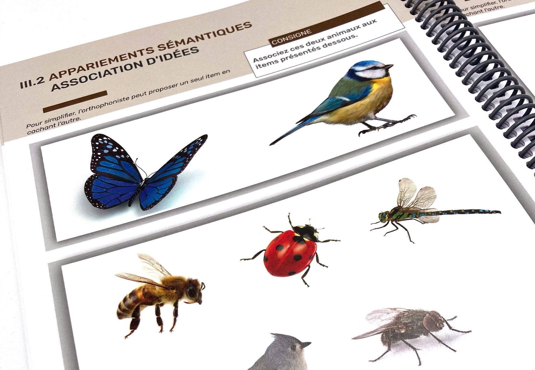 Image sur le produit Activités Cognitives Visuelles