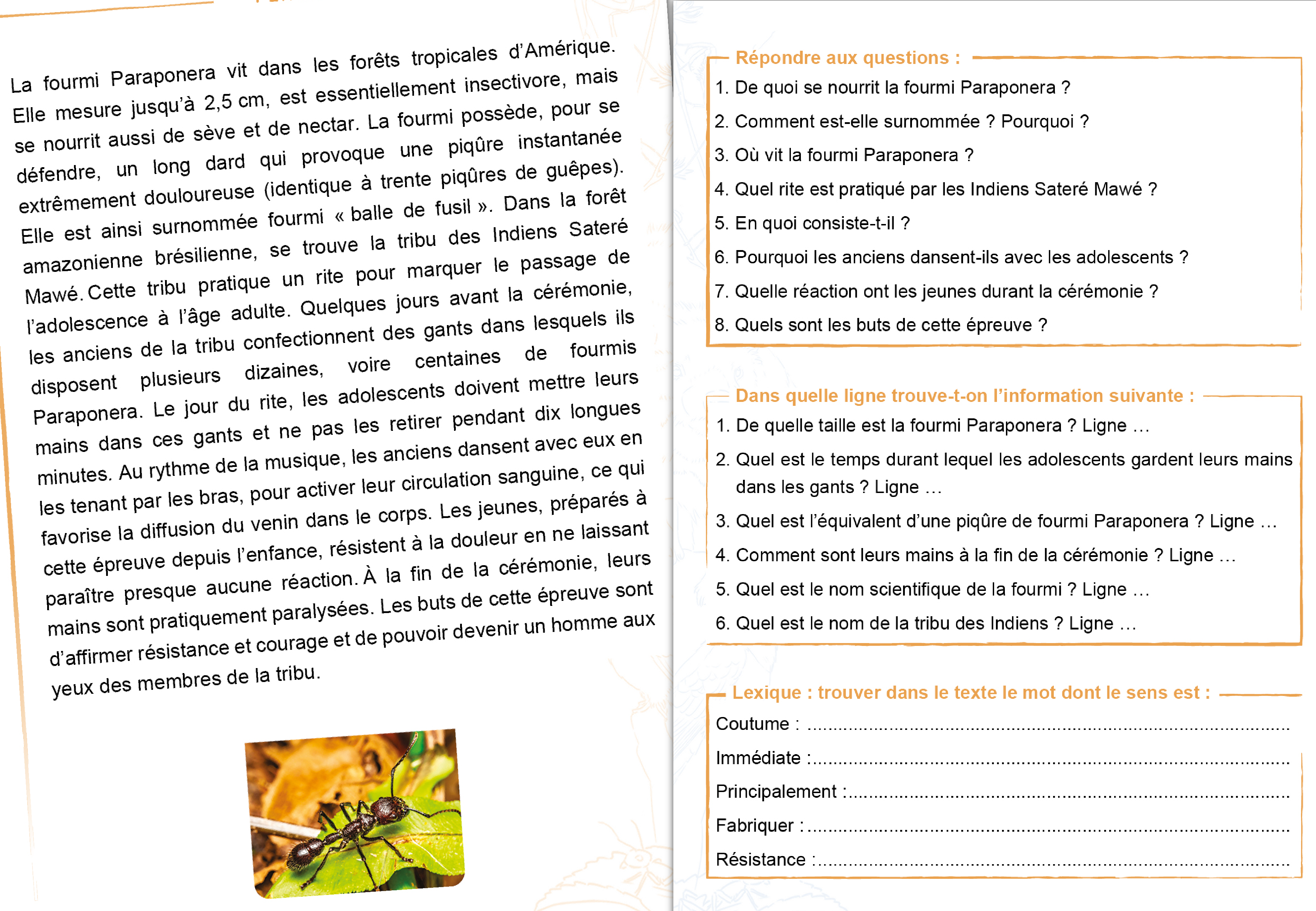 Image sur le produit Tabienlu