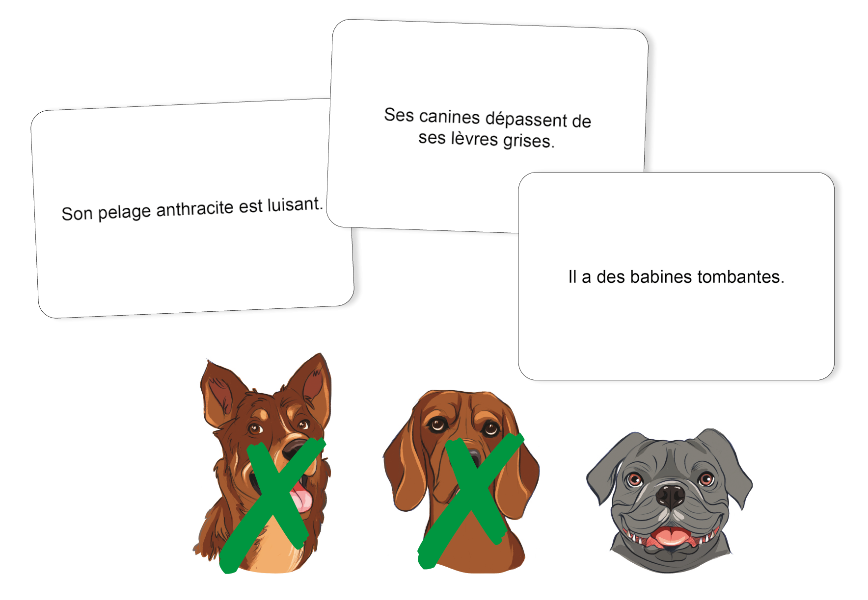 Image sur le produit Aqualogix