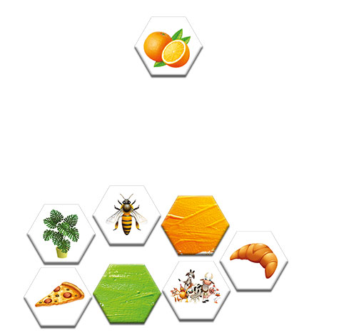 Image sur le produit La dentelle des mots