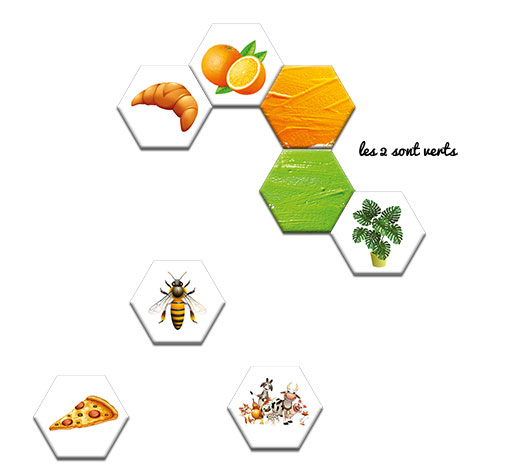 Image sur le produit La dentelle des mots