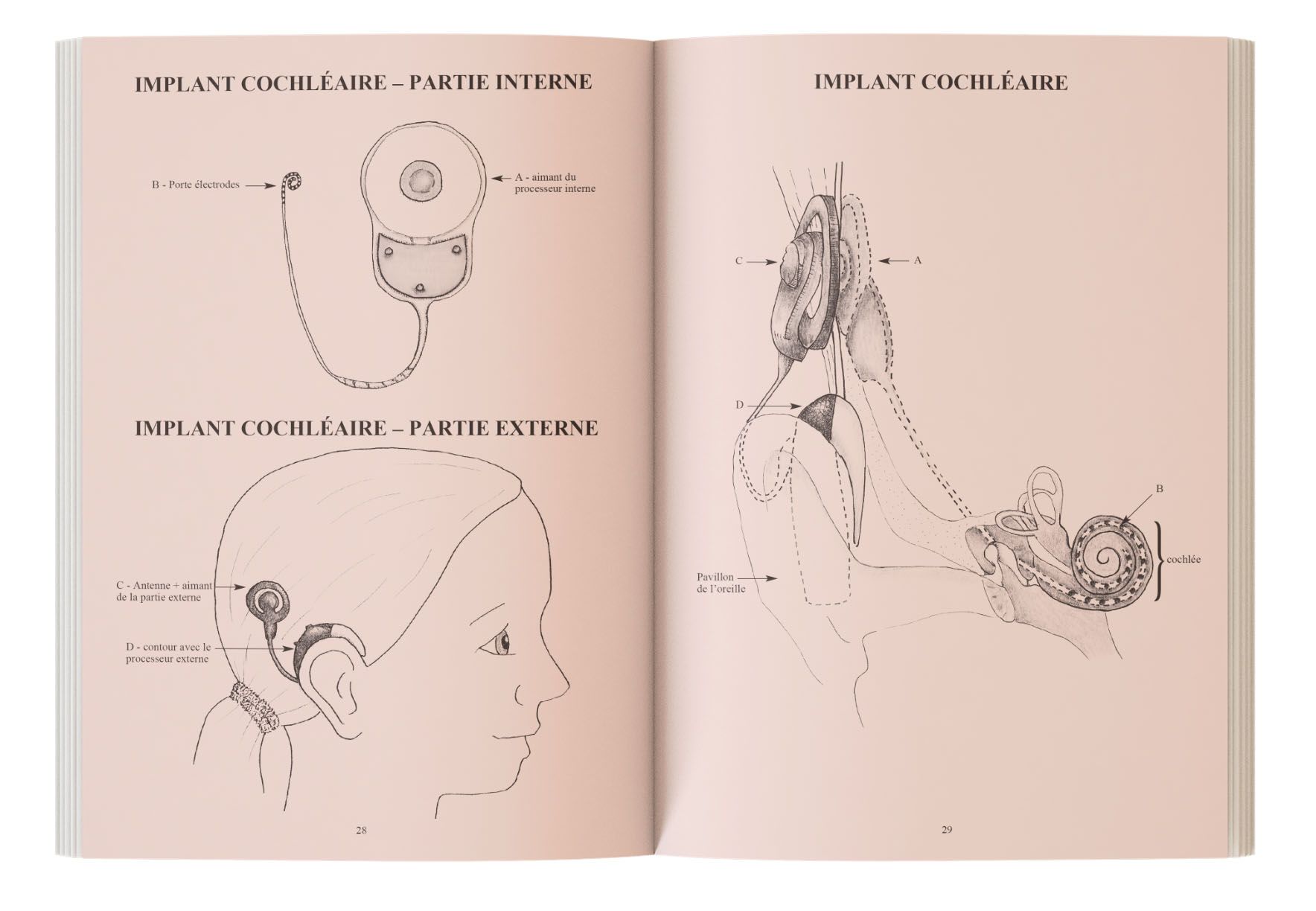 Image sur le produit Dictionnaire d'Orthophonie*