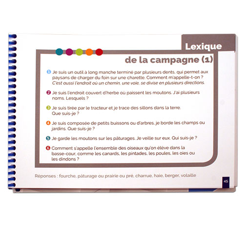 Image sur le produit Le lexique en devinettes