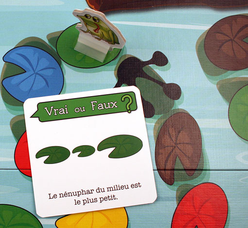 Image sur le produit Mission Grenouilles