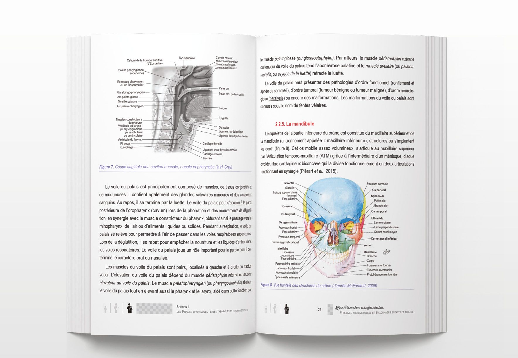 Image sur le produit Les Praxies orofaciales