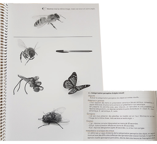 Image sur le produit Test des Gnosies Visuelles - TGV