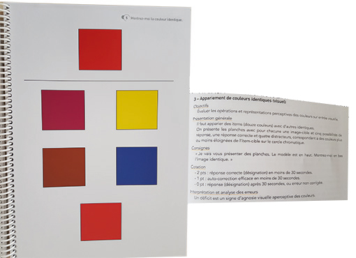 Image sur le produit Test des Gnosies Visuelles - TGV