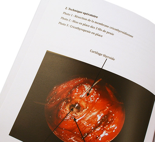 Image sur le produit Voix et transidentit&eacute;s (Version poche)