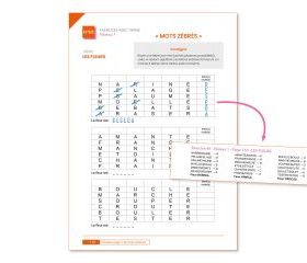 Image de FlexiMots 2, produit d'Ortho Édition