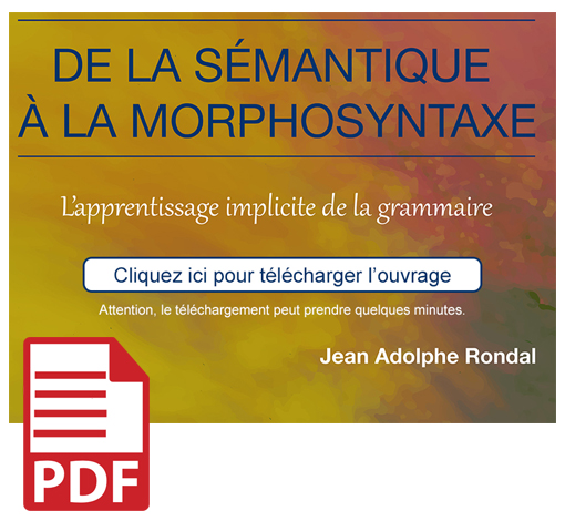 Image du produit De la sémantique à la morphosyntaxe (pdf)