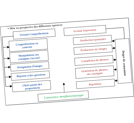Image sur le produit Morphosyntaxe (Les carnets cliniques d’Ortho Edition)