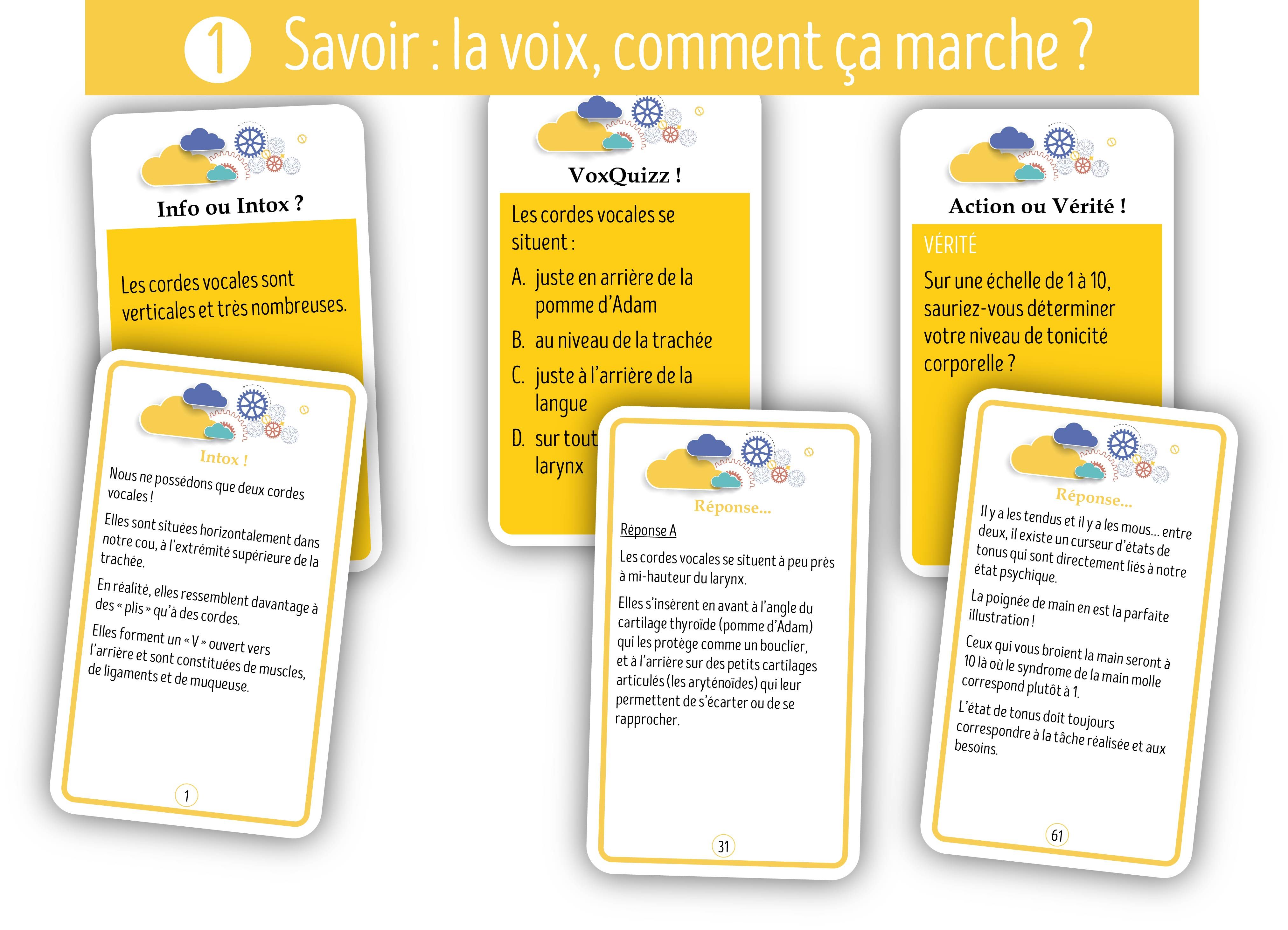 Image sur le produit Voxgame